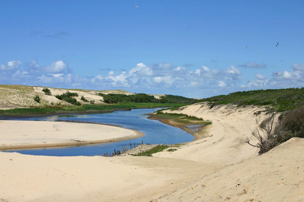 Le Hameau Des Vagues 4-5 Pers Piscines Et Nature A Moliets Екстериор снимка